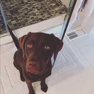 Meet your Posher, Eve